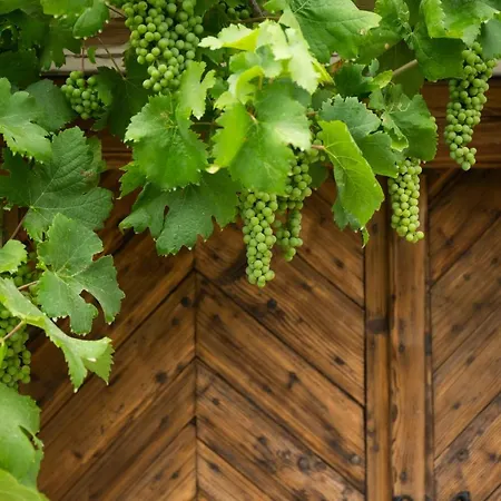Vinonima Vendeghaz Ferienhaus Hegymagas