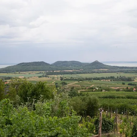 Casa de Férias Vinonima Hegymagas