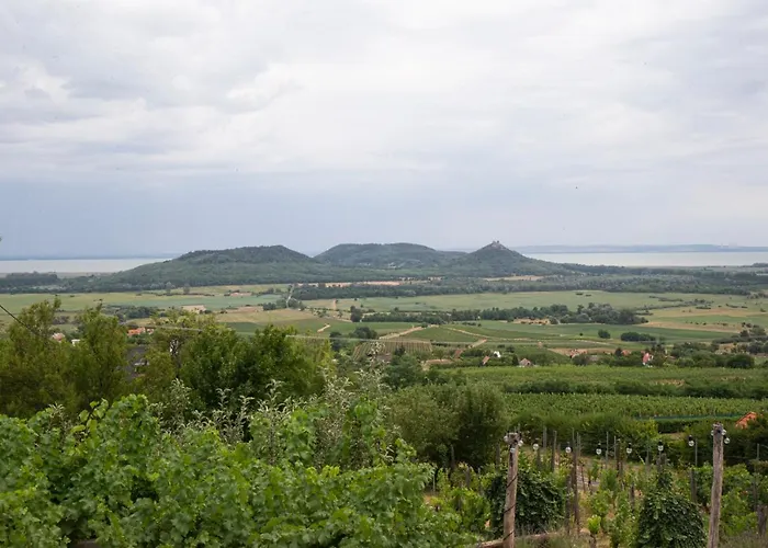 Дом отдыха Vinonima Vendeghaz Hegymagas